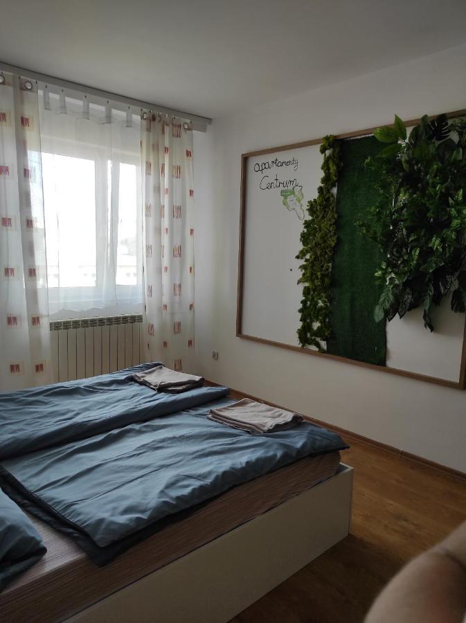 Apartamenty Centrum Walbrzych Exterior photo